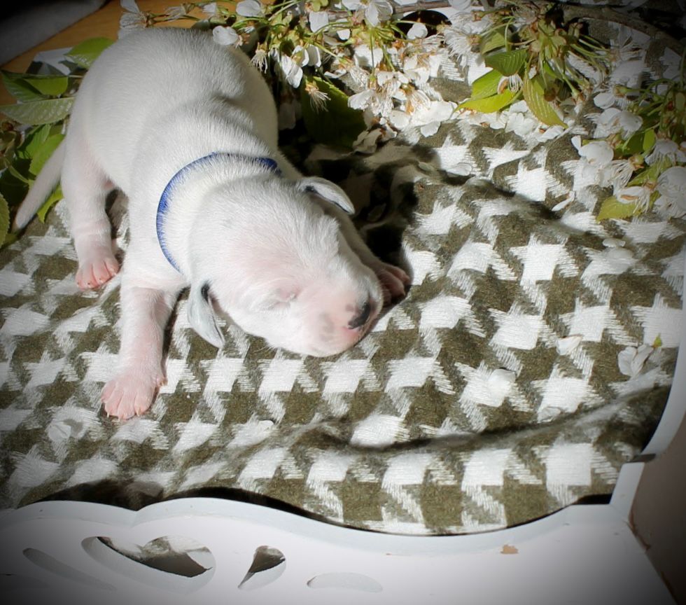 Lennox