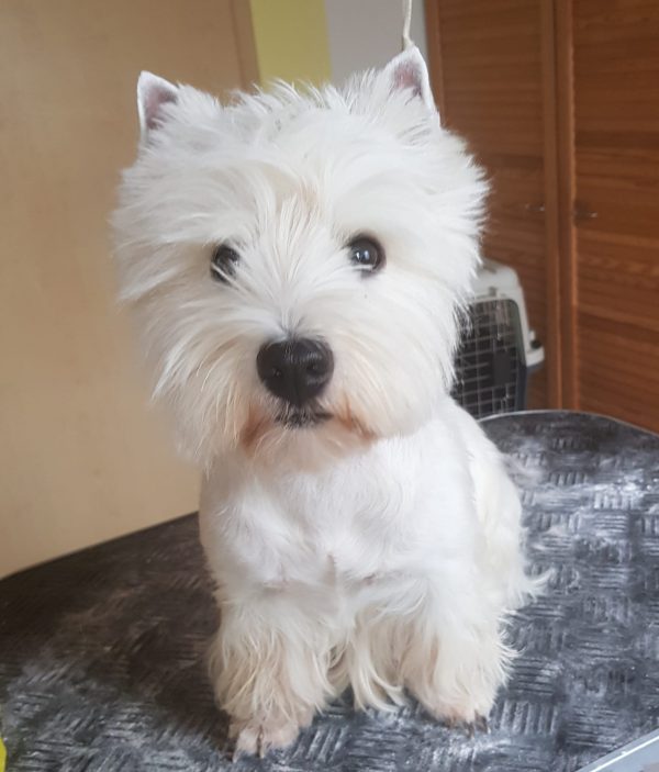 4b93eb24-2257-4b1f-af4f-04e09d9e8a41