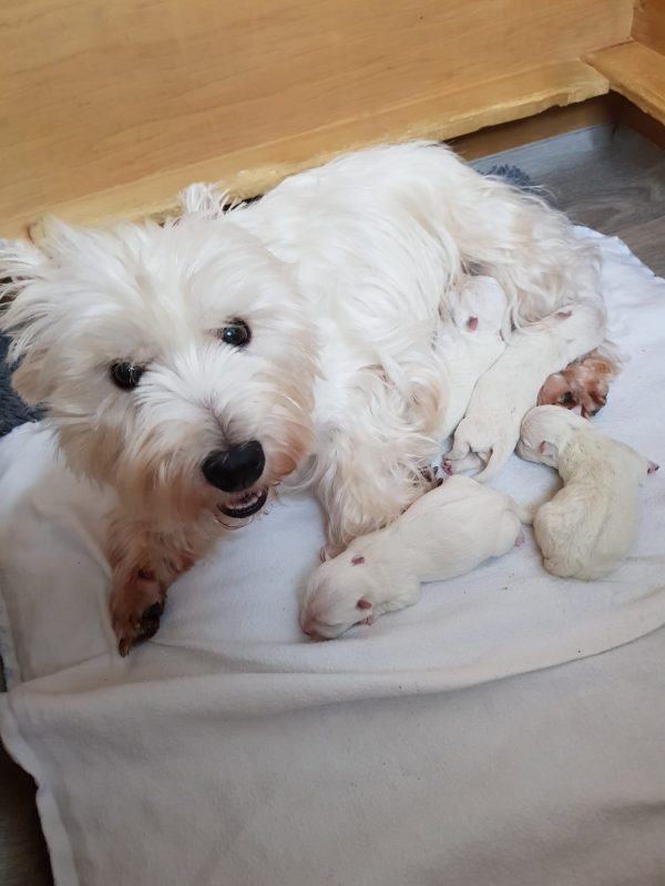 610a2930-335f-40a3-87b0-0e54e9348712