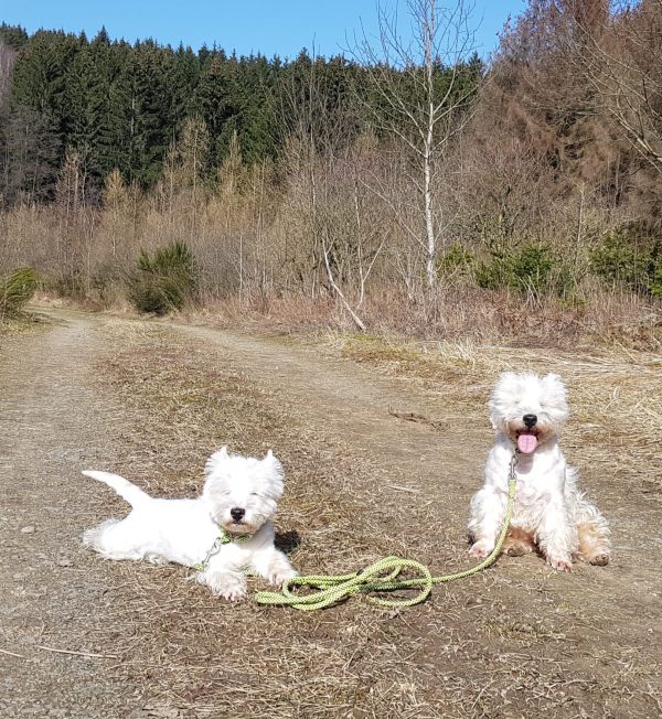 aa69f6aa-0325-4497-8623-3ef48e7fe431